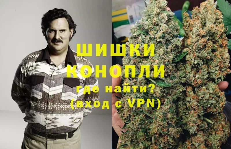 где купить наркотик  Луховицы  Шишки марихуана THC 21% 